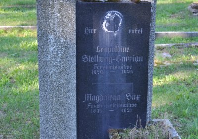 Teplice městský, Omnium, 2020