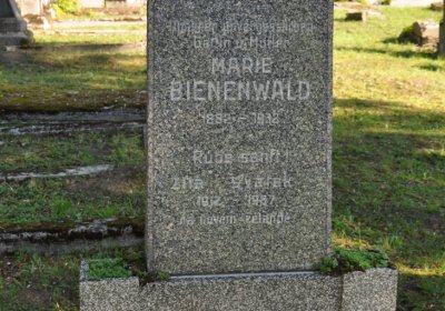 Teplice městský, Omnium, 2020