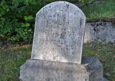 Teplice městský, Omnium, 2020