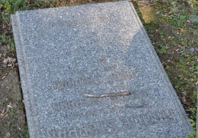 Teplice městský, Omnium, 2020