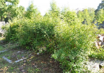 Teplice městský, Omnium, 2020