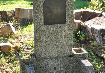 Teplice městský, Omnium, 2020