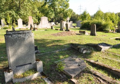 Teplice městský, Omnium, 2020