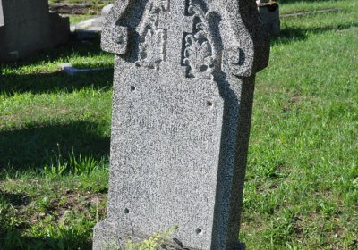 Teplice městský, Omnium, 2020