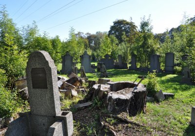 Teplice městský, Omnium, 2020