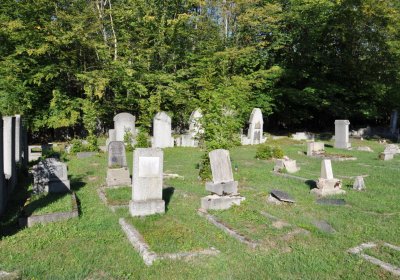 Teplice městský, Omnium, 2020