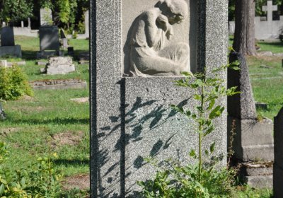 Teplice městský, Omnium, 2020