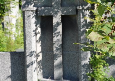 Teplice městský, Omnium, 2020