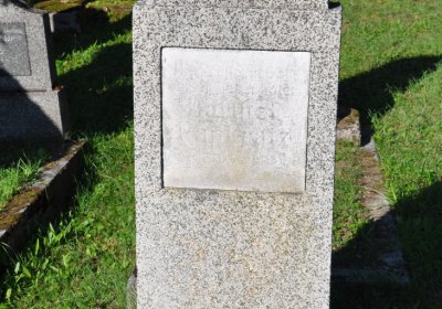 Teplice městský, Omnium, 2020