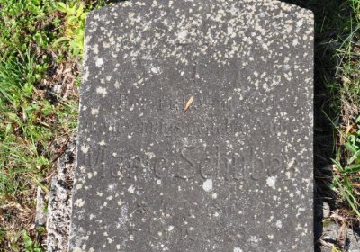 Teplice městský, Omnium, 2020