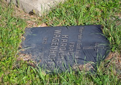 Teplice městský, Omnium, 2020