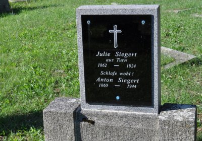 Teplice městský, Omnium, 2020