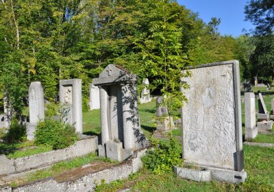 Teplice městský, Omnium, 2020