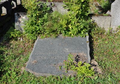 Teplice městský, Omnium, 2020