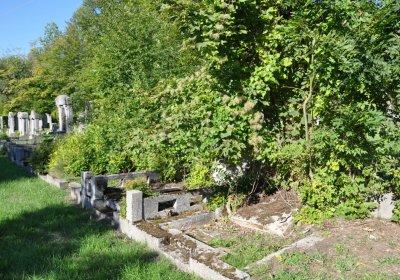 Teplice městský, Omnium, 2020