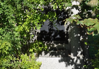 Teplice městský, Omnium, 2020