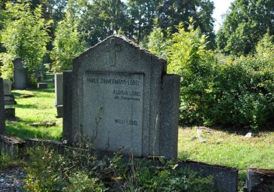 Teplice městský, Omnium, 2020