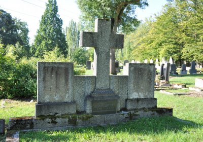 Teplice městský, Omnium, 2020