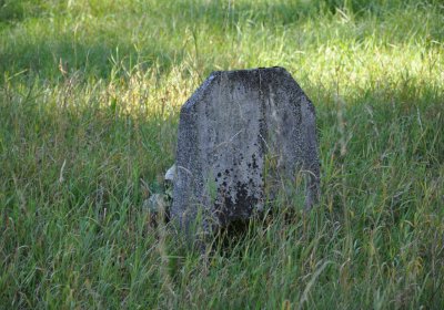 Teplice městský, Omnium, 2020