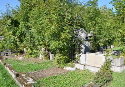 Teplice městský, Omnium, 2020