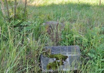 Teplice městský, Omnium, 2020