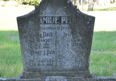 Teplice městský, Omnium, 2020