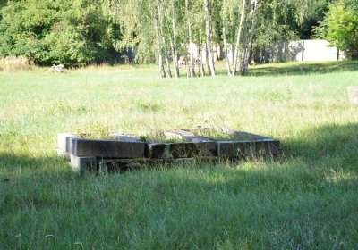 Teplice městský, Omnium, 2020