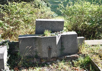 Teplice městský, Omnium, 2020