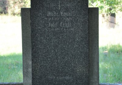 Teplice městský, Omnium, 2020