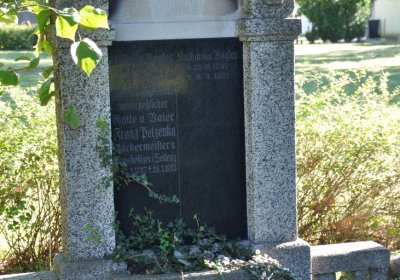 Teplice městský, Omnium, 2020