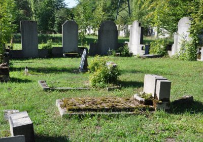 Teplice městský, Omnium, 2020