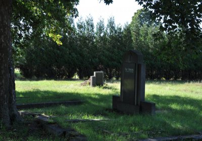 Teplice městský, Omnium, 2020