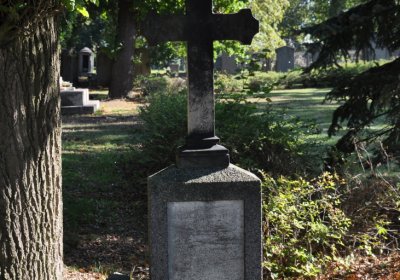 Teplice městský, Omnium, 2020