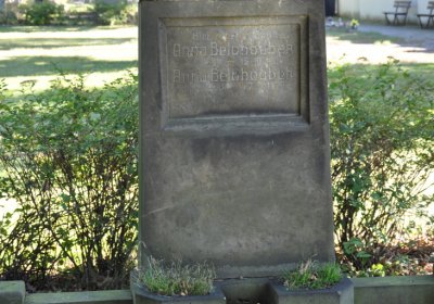 Teplice městský, Omnium, 2020