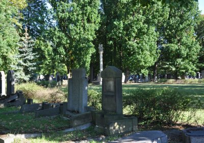 Teplice městský, Omnium, 2020