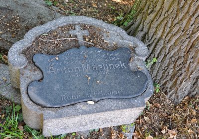 Teplice městský, Omnium, 2020