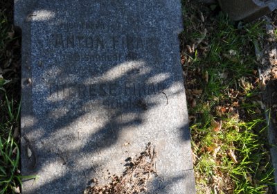 Teplice městský, Omnium, 2020