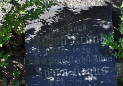 Teplice městský, Omnium, 2020