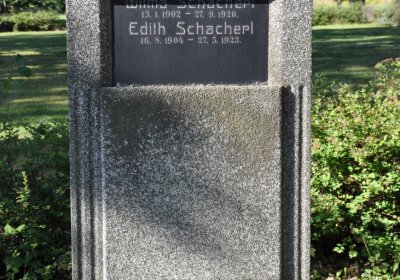 Teplice městský, Omnium, 2020