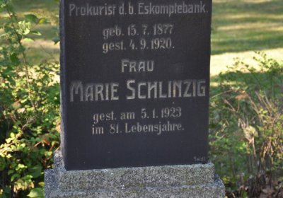 Teplice městský, Omnium, 2020