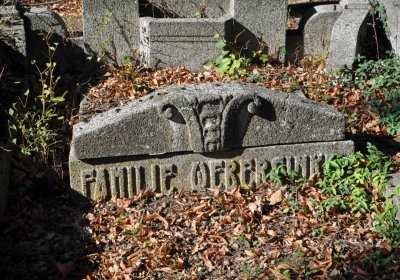 Teplice městský, Omnium, 2020