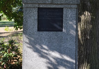 Teplice městský, Omnium, 2020