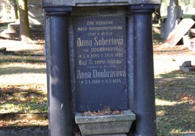 Teplice městský, Omnium, 2020