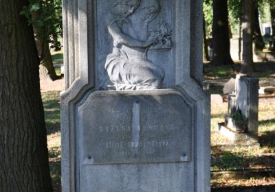 Teplice městský, Omnium, 2020