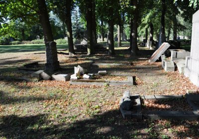 Teplice městský, Omnium, 2020