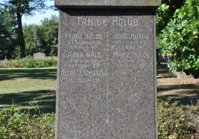 Teplice městský, Omnium, 2020