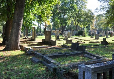 Teplice městský, Omnium, 2020