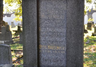 Teplice městský, Omnium, 2020