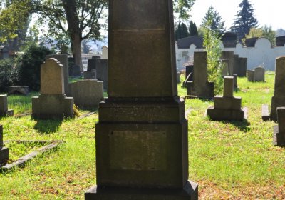 Teplice městský, Omnium, 2020