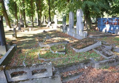 Teplice městský, Omnium, 2020